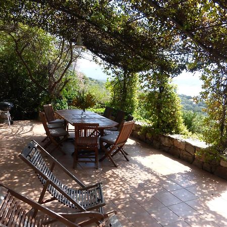 Villas Valinco San Martinu Corse Du Sud - Vue Et Proche Mer - Piscines-7 Chambres Olmeto  Værelse billede