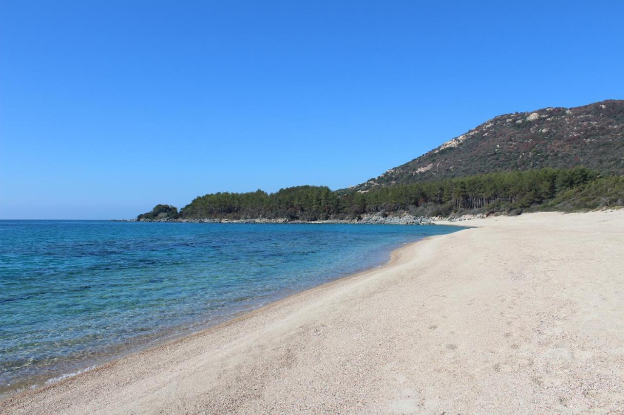 Villas Valinco San Martinu Corse Du Sud - Vue Et Proche Mer - Piscines-7 Chambres Olmeto  Eksteriør billede