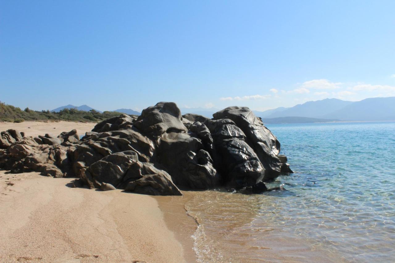 Villas Valinco San Martinu Corse Du Sud - Vue Et Proche Mer - Piscines-7 Chambres Olmeto  Eksteriør billede